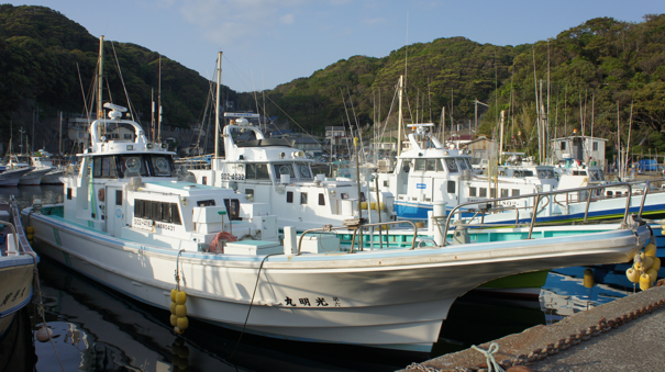 DSC02019.jpg